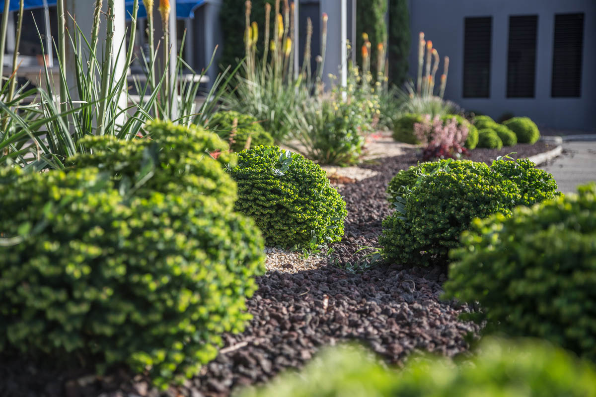 jardin passion leclerc-3