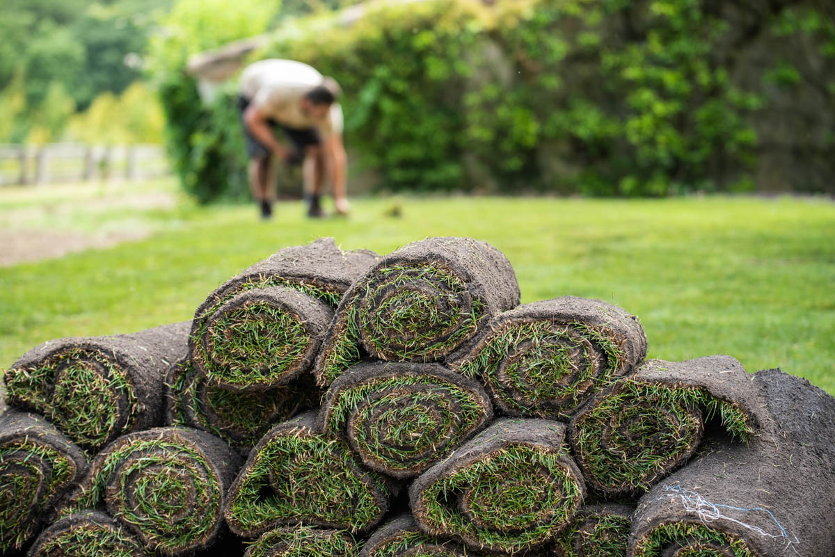 Rouleau pelouse Paysagiste Carcassonne Jardin Passion
