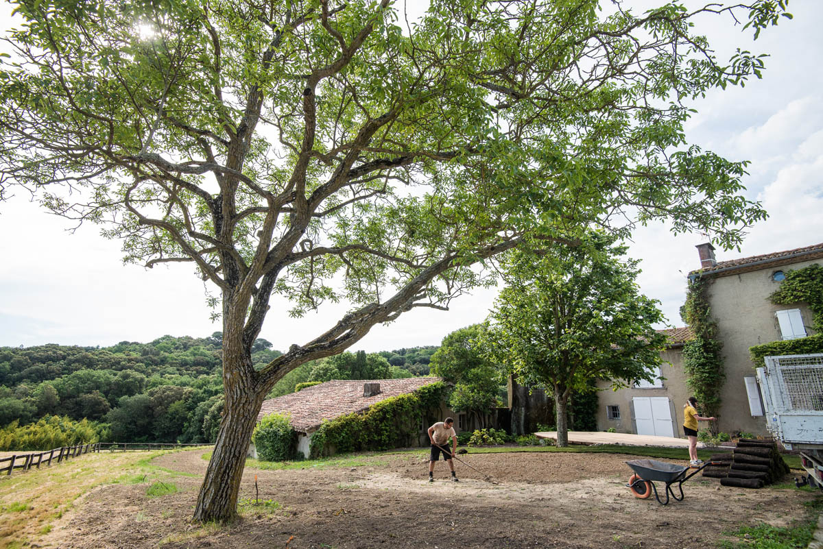 Rouleau pelouse Paysagiste Carcassonne Jardin Passion